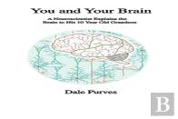 You And Your Brain
