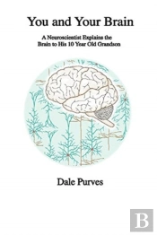 You And Your Brain