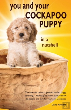 Bertrand.pt - You And Your Cockapoo Puppy In A Nutshell