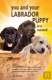 You And Your Labrador Puppy In A Nutshell