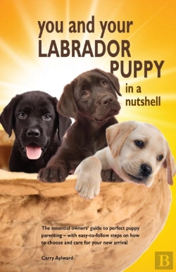 Bertrand.pt - You And Your Labrador Puppy In A Nutshell