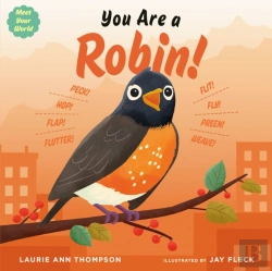 Bertrand.pt - You Are A Robin!