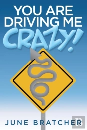 You Are Driving Me Crazy!