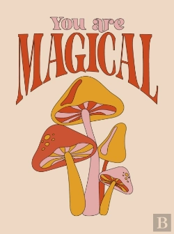 Bertrand.pt - You Are Magical