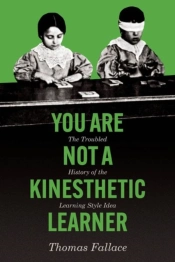 You Are Not A Kinesthetic Learner