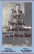 You Are Not Negro, Black, Coloured, Morisco Nor An African Slave!