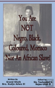 You Are Not Negro, Black, Coloured, Morisco Nor An African Slave!