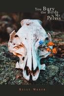 You Bury The Birds In My Pelvis