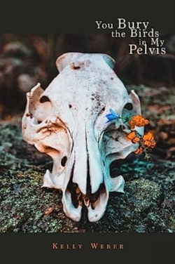 Bertrand.pt - You Bury The Birds In My Pelvis