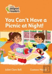 You Can'T Have A Picnic At Night!