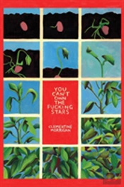 You Can'T Own The Fucking Stars
