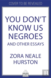 You Don'T Know Us Negroes And Other Essays