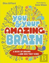You & Your Amazing Brain