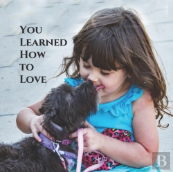 Bertrand.pt - You Learned How To Love