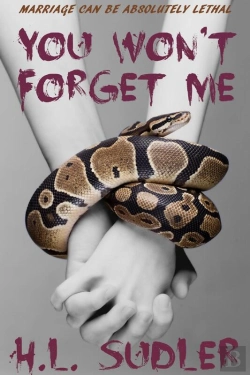 Bertrand.pt - You Won'T Forget Me