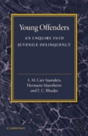 Young Offenders