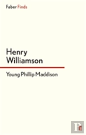 Young Phillip Maddison