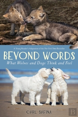 Bertrand.pt - Young Readers Adaptation Of The New York