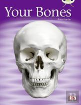 Your Bones 6-Pack