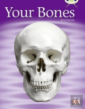 Your Bones 6-Pack