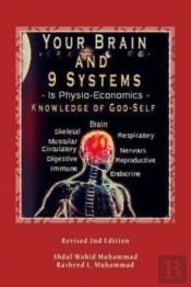 Your Brain And 9 Systems: Equal The Phys