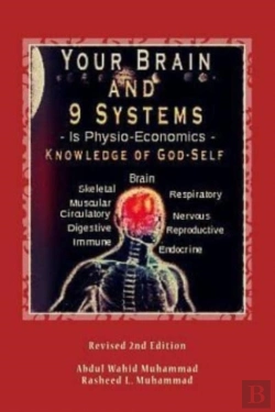 Bertrand.pt - Your Brain And 9 Systems: Equal The Phys
