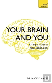 Your Brain And You