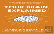 Your Brain, Explained