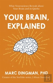 Your Brain, Explained