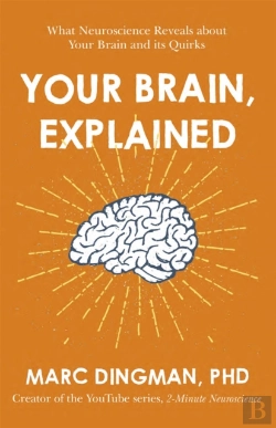 Bertrand.pt - Your Brain, Explained