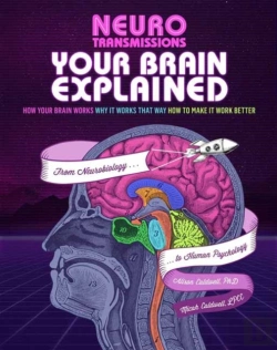 Bertrand.pt - Your Brain Explained