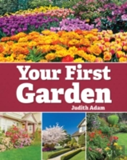 Bertrand.pt - Your First Garden