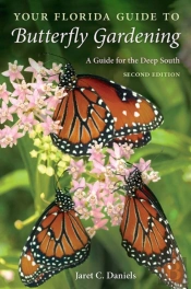 Your Florida Guide To Butterfly Gardening