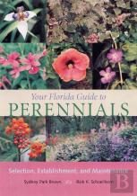 Your Florida Guide To Perennials