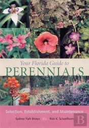 Your Florida Guide To Perennials