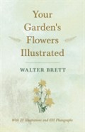 Your Garden'S Flowers Illustrated - With 28 Illustrations And 695 Photographs