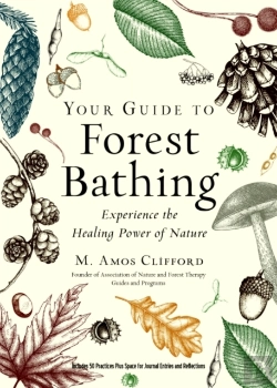 Bertrand.pt - Your Guide To Forest Bathing (Expanded Edition)