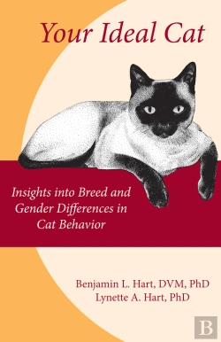 Bertrand.pt - Your Ideal Cat