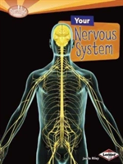 Bertrand.pt - Your Nervous System