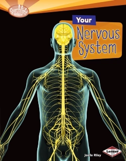 Bertrand.pt - Your Nervous System
