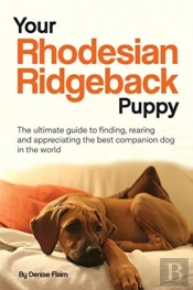 Your Rhodesian Ridgeback Puppy