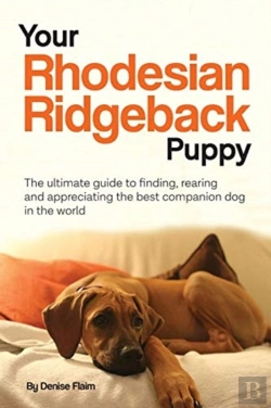 Bertrand.pt - Your Rhodesian Ridgeback Puppy