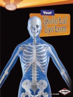 Bertrand.pt - Your Skeletal System
