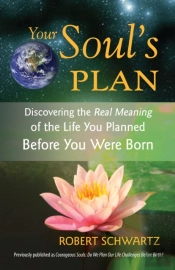 Your Soul'S Plan