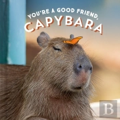 You'Re A Good Friend, Capybara