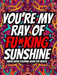 You'Re My Ray Of Fu*King Sunshine