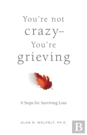 You'Re Not Crazy-You'Re Grieving: