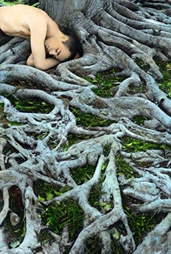 Bertrand.pt - Youssef Nabil: Once Upon A Dream