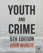Youth And Crime