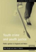 Youth Crime And Youth Justice